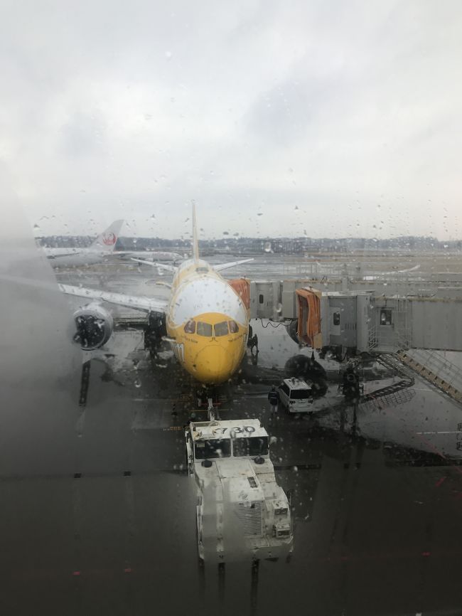 1ヶ月前くらいに検索したら、LCCの中では最安値、12500円/1人でバンコクまで。その他に、手荷物などのオプションはかかりましたが、それでも安いです！