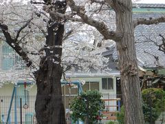 伝通院の目の前に　大黒様があります

浄土宗寺院の福聚院です

