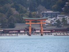 厳島神社の大鳥居を眺めつつ
