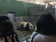 神戸市立王子動物園