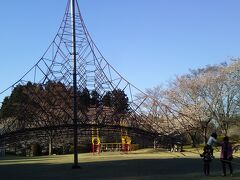 ファミリーパークプラザには遊具があり、子ども達が遊んでいました。

桜の木は少なめです。
