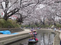 吹上さくらまつり（吹上駅から徒歩約10分）
