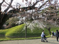 桜の向こうに見えているのは　
小廬山

中国の廬山を模しているためという