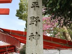 ＜平野神社＞
こちらも今回初めての訪問です。
知らなかったのですが、平安遷都以降約1200年以上にわたり信仰を集める神社。古くから桜の社として知られ、現在は約60種類400本あまりの桜があるそうです。