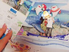 水族館に入ってすぐのところにジンベイザメのキャラクターたちとの記念撮影コーナーがありました。

プロカメラマンさんが撮影してくれて、左上の小さなカレンダーは無料でいただけます。
大きな写真はフレーム付き1,000円くらいで購入しました♪

撮影時、カメラマンのお姉さんに

カ「そのクマちゃんはあれですか、旅にいつも一緒に連れていく子ですか？」
私「そうです！それ系のクマです！笑」
カ「いいですね～！じゃあクマちゃんも一緒にハイシーサーで撮りましょう！」

と言われてなかなかに恥ずかしかったものの、嬉し恥ずかし旅の一コマでした(´ω`)
