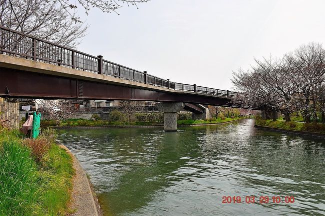 19春 そうだ 京都 行こう しかし 桜はまだ早かった 1日目 1 伏見 京都 の旅行記 ブログ By Jh2fxvさん フォートラベル