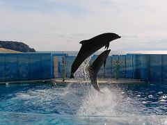 新江ノ島水族館