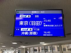 さて、空港修行を兼ねた宮古列島をめぐる旅も終了。東京に、戻ります。