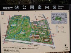 とはいうものの、砧の桜も見ておきたいと、仙台から戻った4月６日に砧に出かけました。

朝起きたらあまりに良い天気だったので。