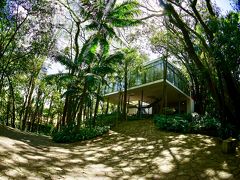 【Casa de vidro(ガラスの家)】

約68年前、この自宅の計画当時は、