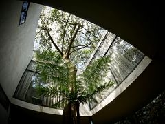 【Casa de vidro(ガラスの家)】

リナが植栽デザインを行ったそーです。