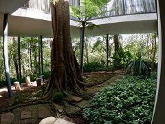 【Casa de vidro(ガラスの家)】

で、現在は、熱帯雨林のような森林が、家の周りをうっそうと囲んでいます。