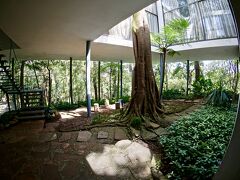 【Casa de vidro(ガラスの家)】

この場所は、ハゲ山の新興住宅地になる前の状態だった模様......