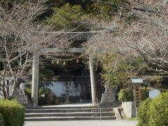 　白山ひめ神社　岩国城見学時旧岩国藩主吉香家の敷地(旧周防国 現在山口県岩国市)に鎮座されている白山ひめ神社に参拝、御祭神は、菊理姫命、白山ひめの命・大己貴命の三柱、その中で菊理姫命(くくりひめのみこと)と称する神様は珍しい、現地の説明板によると和合の神と言われており安産の神様として古くから親しまれ敬愛されているそうです、岩国の守り神とも言われており平日であったが参詣の方を多数見かけられました