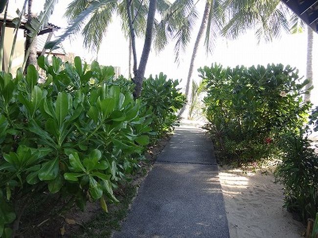 このような細い道を、緑がいっぱいの中、お部屋まで歩きます。