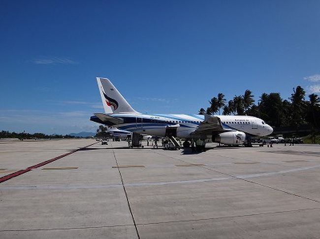乗る飛行機は、あれね～。
