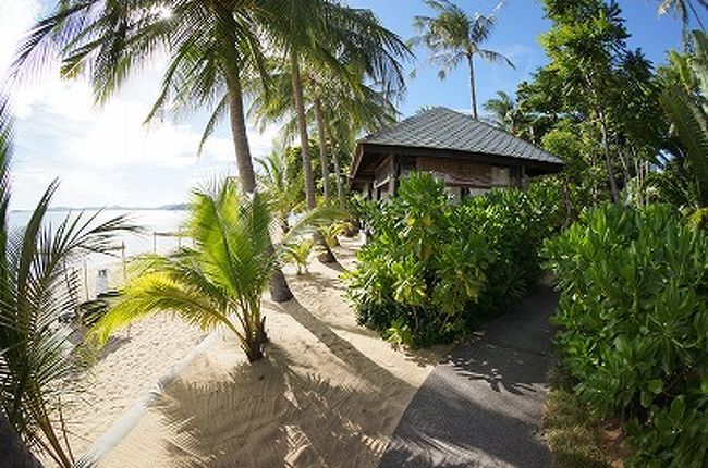 さー、今日も隣でマッサージ。部屋の窓から、<br />混み具合も見えて、近くて便利！