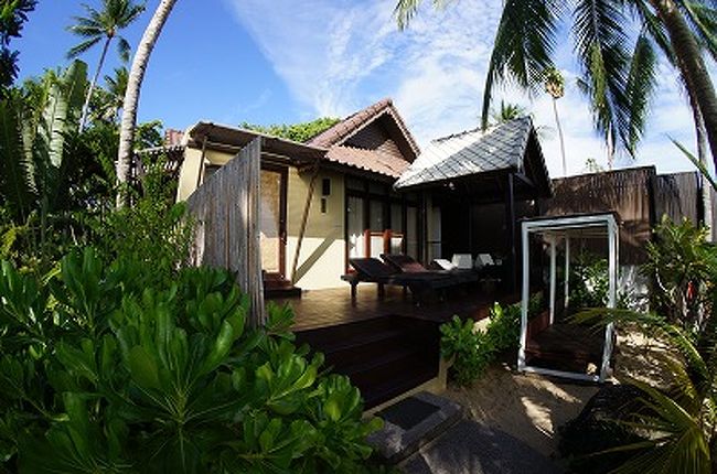 さぁ～、今日もここで、のんびりで～す。