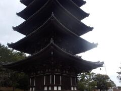 興福寺。国宝指定、庇がすごく深く造られています、添付写真でよく判ります、内部は入れないが塔の真下まで自由に参観できますので年季の入った黒ずんだ木材の肌まで古き時代を感じ取れます、写真のビューポイントは①この塔のすぐ横②興福寺南の猿沢池に映る塔③奈良県庁舎屋上展望ロビーがお薦めです