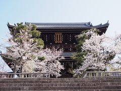 次は、金戒光明寺です。

平安神宮から徒歩１５分（約1ｋｍ）

ここは法然上人ゆかりの浄土宗最初の寺院です。