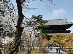 五番目は、南禅寺

哲学の道の終点から徒歩１５分（約1ｋｍ）

境内には、
たくさんの桜が咲き乱れています。