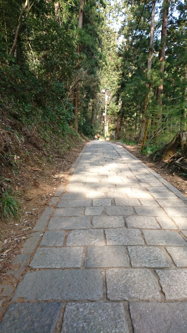 今回は、一号路で歩きます