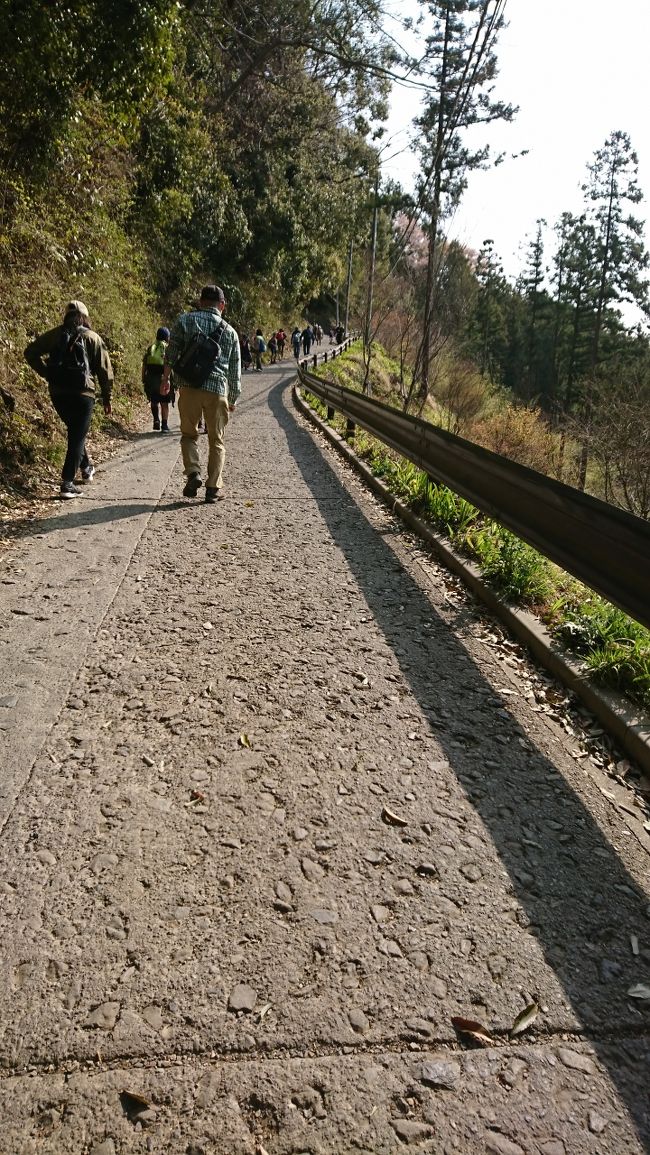 初心者コースですが、急な上り坂が続きます