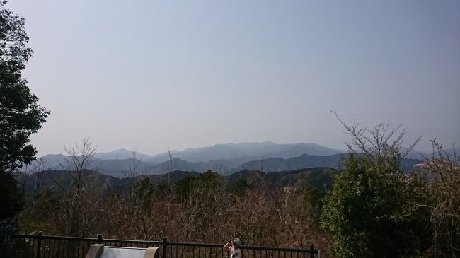 今日は見えません。