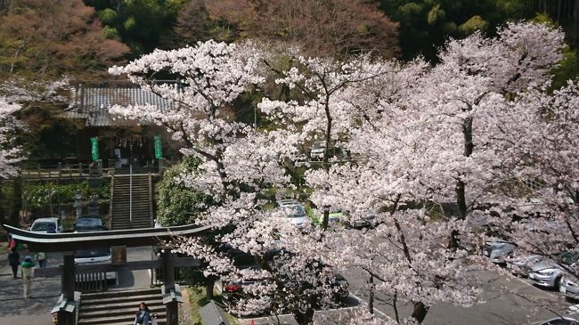 高尾山口駅ホームから氷川神社