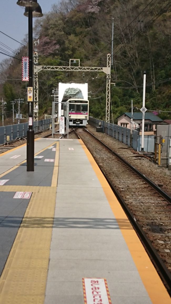 いよいよ電車がきました