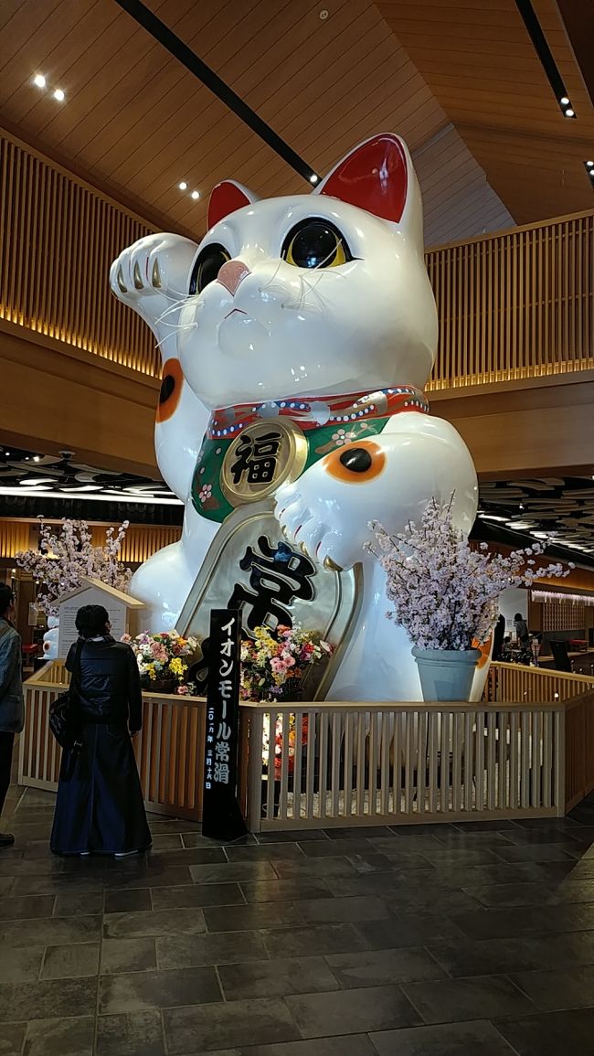 今回の始まりはイオンモール常滑