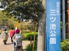 「寺尾中学入口」でバスを降り、徒歩数分で三ツ池公園到着です。
正門から入場しました。
園内、自転車はオーケー、そのまま入ることが出来ます。
入場は無料です。