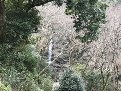 わさび田の次に訪れたのは、ここ。
浄蓮の滝です。
過去に何度も来ているので滝の近くまでは行かず、駐車場から少しだけ下りたところで一枚だけ写真を撮りました。
