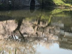 お濠に映りこむ桜