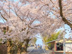 この景色がベストスポットでした！