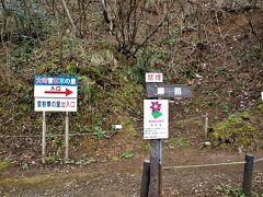 　駐車場に停め、協力費を支払い保護地域に入ります。(  https://niigata-kankou.or.jp/spot/10760   )