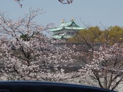 天守閣が遠景に。