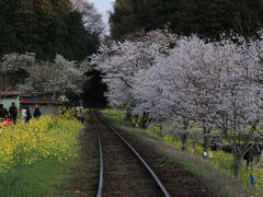 そして飯給駅に到着！ここからの風景も素敵だなー♪