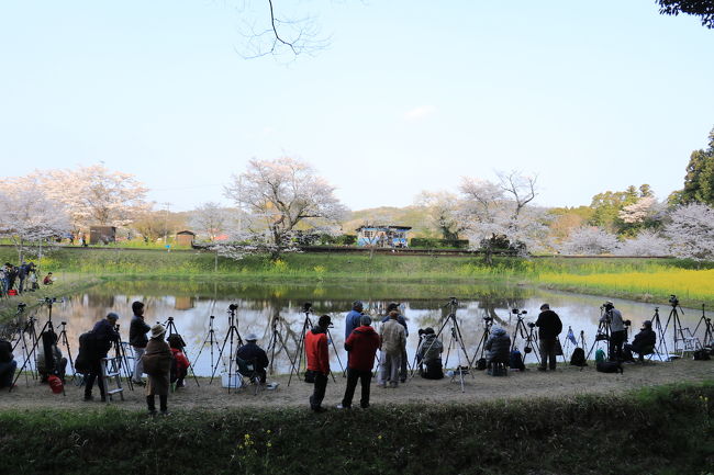水田の場所に行くと… なんじゃこりゃー！！<br />ロケ班の光景が広がり入る隙間もないヽ(￣д￣;)ノ=<br />やはり人気スポットなのですねー♪<br />しかし彼らの狙いは殆ど夜のライトアップ。私達は夜まで待つ元気が無いので明るい時間帯のリフレクションを撮って撤収します（笑）