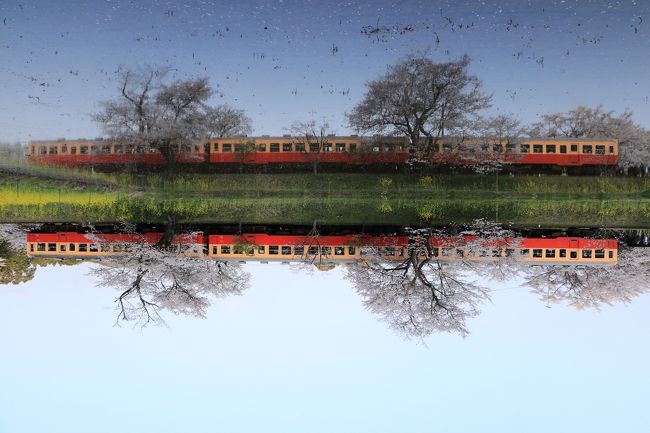 リフレクションが綺麗♪ 空と水面を反転しても綺麗だー♪素敵な写真が撮れてヨダレ出そうでした（笑）
