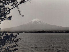 翌日は河口湖に移動。