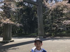 護国神社の鳥居と桜
