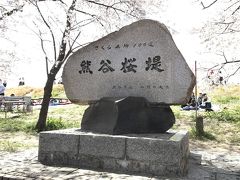 熊谷桜堤