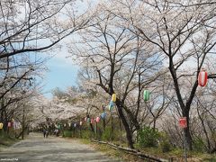 弘法山公園の馬場道　10:50頃

町内会館前バス停からは、ゆっくり歩いて約30分ほどで、弘法山と権現山を結ぶ馬場道の中程に到着しました。

弘法山は、神奈川県秦野市東部・丹沢山塊の南端にある標高235 m（案内図には237mと表示）の山で、隣接する権現山、浅間山とともに弘法山公園と呼ばれます。
江戸時代には既に「弘法大師の祀られる山」として信仰の山として知られていたそうです。