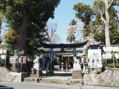 お祭りの準備中の御嶽神社

創立は不詳ですが建久3年（1192）頃から神社前の参道を御嶽道と称し、平沢村の鎮守であったそうです。
境内には樹齢八百年余りの大けやきが二本あります。
慶長13年（1608）徳川家康が鷹狩りに来た際に、当社に参拝、社殿の改修を命じ、翌年に改修されたそうです。
本殿は慶長年間に改修された当時のもの。