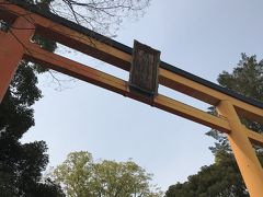 川越氷川神社