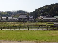 　道路を挟んで、南の山すそに見えるのは橘寺。
　明日香四天王寺でないけれど、川原寺とはペアとなる寺らしい。
　それを聞けば行かざるを得ない。