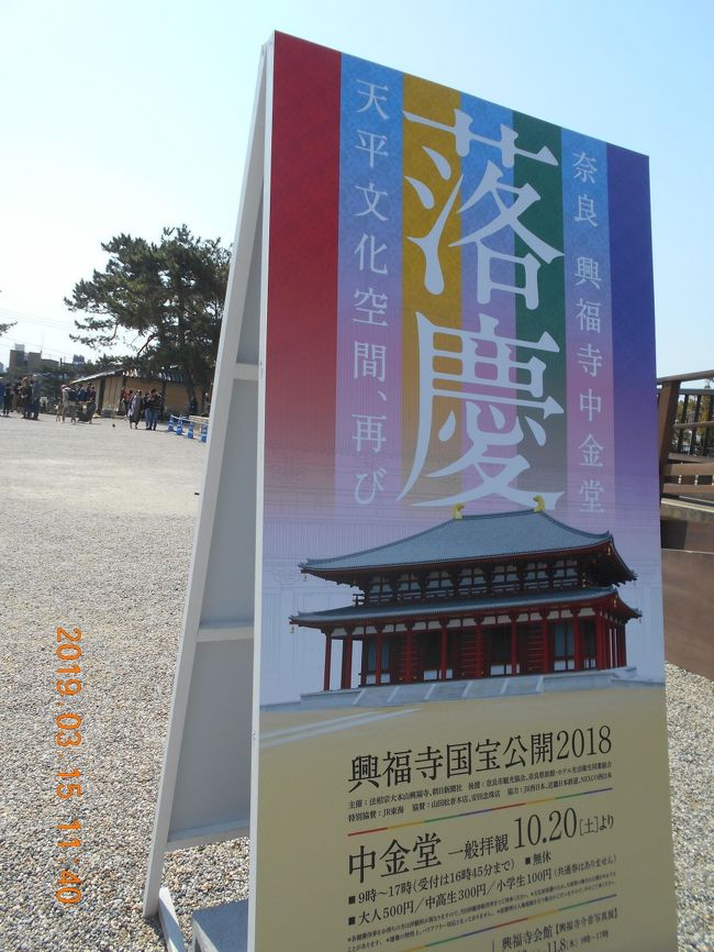 今までは工事中だった中金堂が　出来上がっていました。