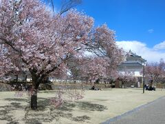 まずは舞鶴城公園へ。桜が咲いている。甲府は来たことあるけど、駅前のホテルに泊まっただけで全然観光はしなかったので、今日は少し散策する。