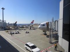 乗ってきた飛行機を振り返って